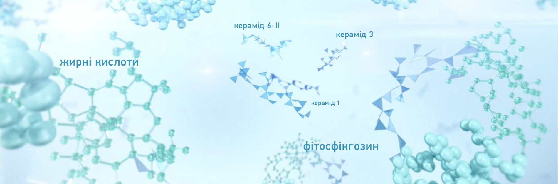 Phytoceramids vs Ceramides TOP banner_UA